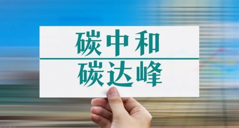 1635401459362058843.jpg 640.webp.jpg